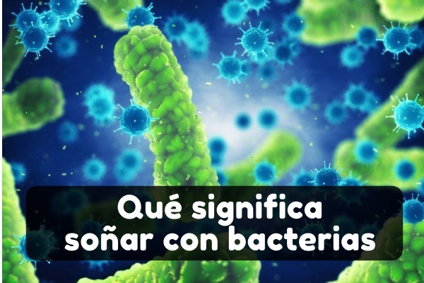 soñar con bacterias significado