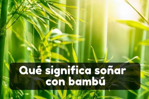 Qué significa soñar con bambú